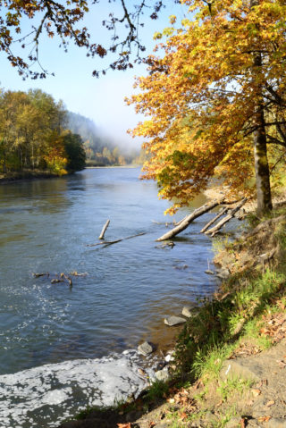 Willamette River